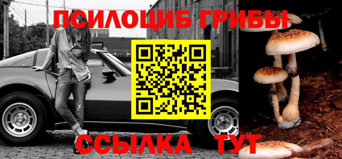 Псилоцибиновые грибы Psilocybe  Вход с VPN  Реж 